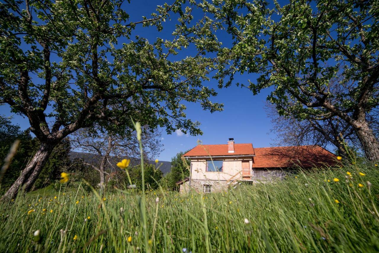 Apartmán Razborca Mislinja Exteriér fotografie